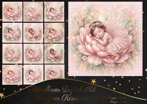 Fairy baby 