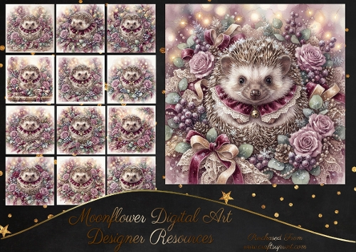 Festive hedgehog 