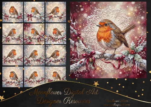 Festive robin