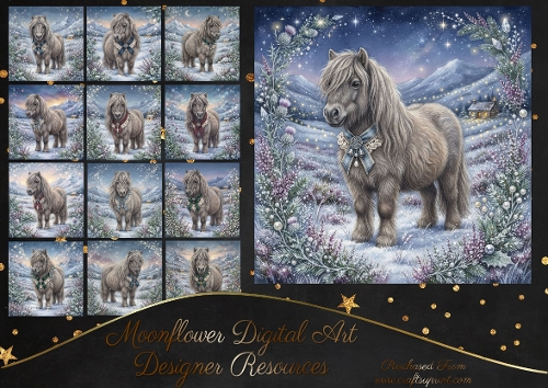 Festive pony 