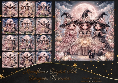 Little witch collection 6