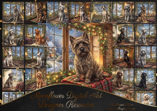 Christmas window 1