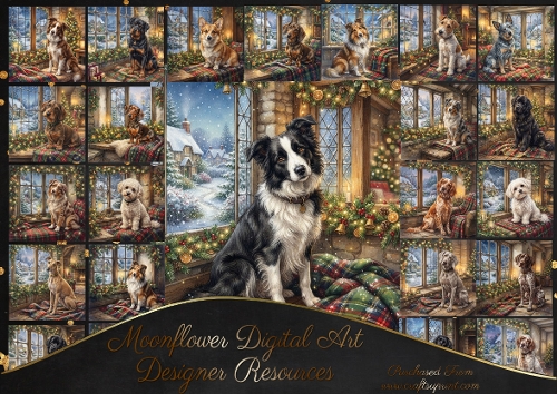 Christmas window 2