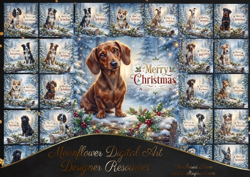 Christmas greetings 2