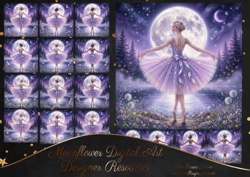 Moonlight ballet 