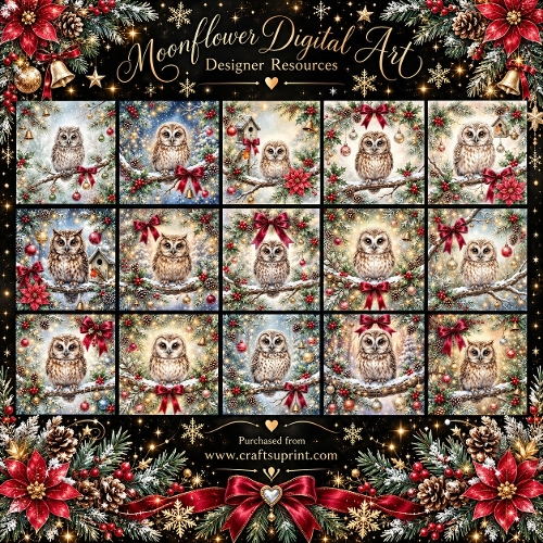 Festive owls 