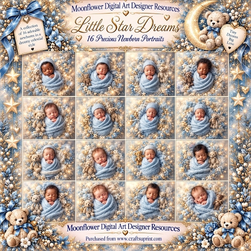 Little star dreamer 