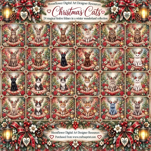 Christmas cats 