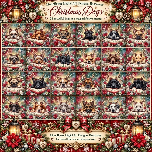 Christmas dogs 3