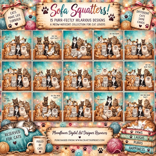 Sofa squatters