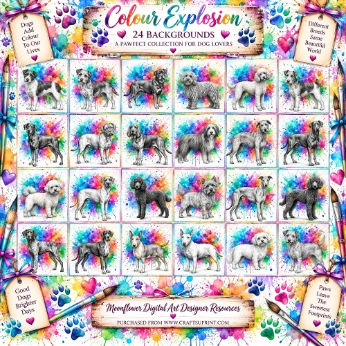 Colour explosion dogs 1