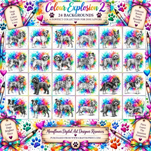 Colour explosion dogs 2