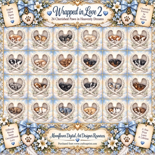 Wrapped in love 2