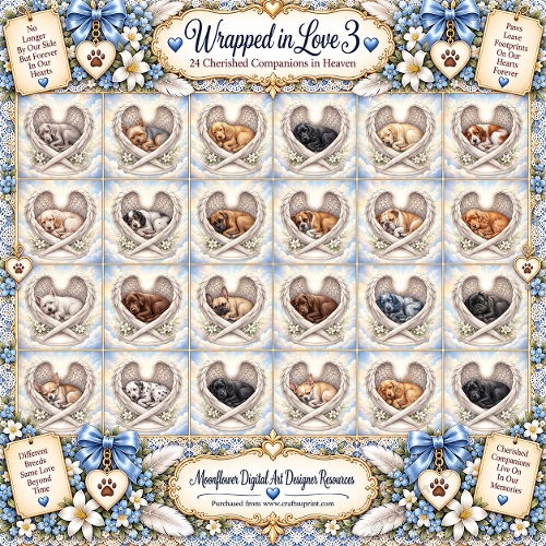 Wrapped in love 3