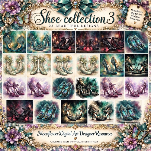 Shoe collection 3