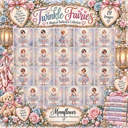 Twinkle fairys 