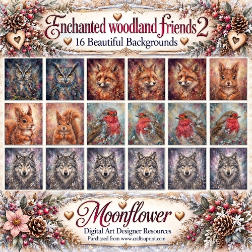 Enchanted woodland friends 2