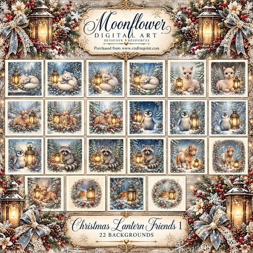 Christmas lantern friends 1