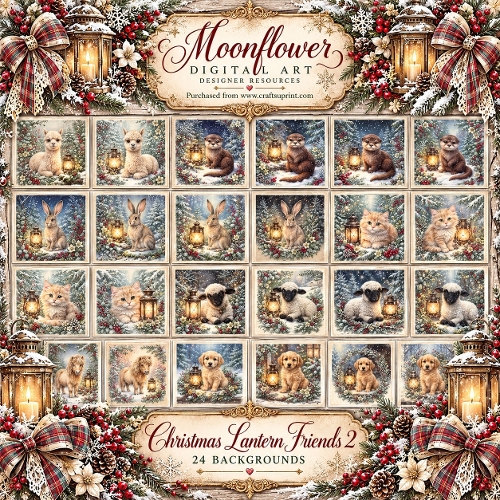 Christmas lantern friends 2