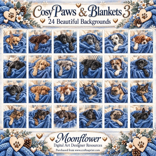 Cozy paws &  blankets 3