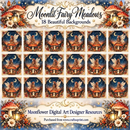 Moonlit mushroom fairy 