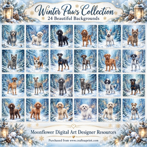 Winter paws collection 1 