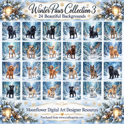 Winter paws collection 3