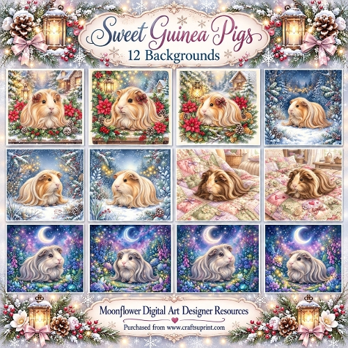 Sweet  guinea pigs 