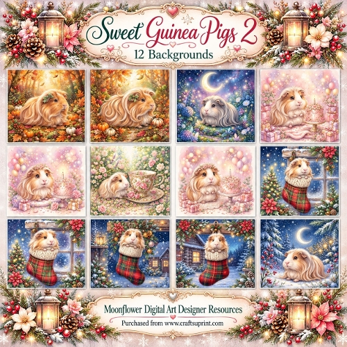 Sweet  guinea pigs 2
