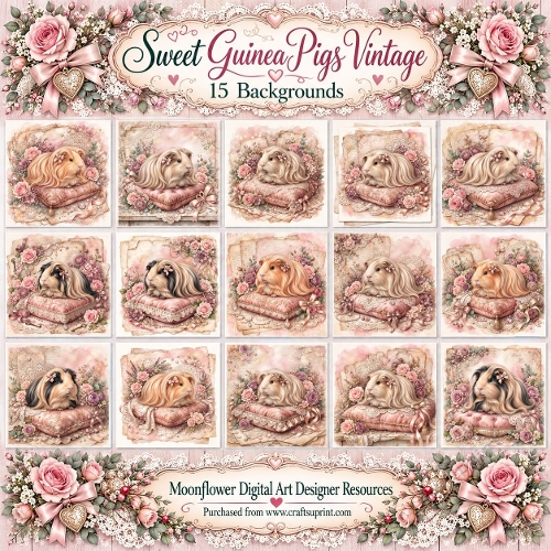 Sweet guinea pigs vintage 