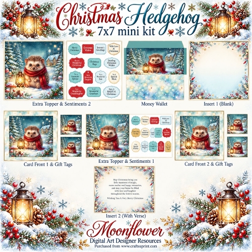 Christmas headgehog 