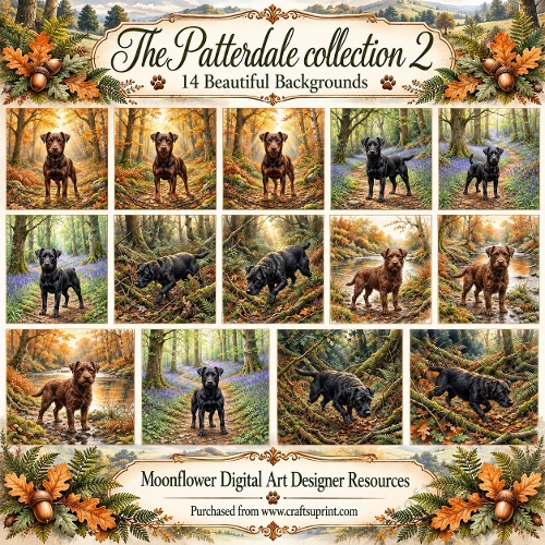 The Patterdale collection 2