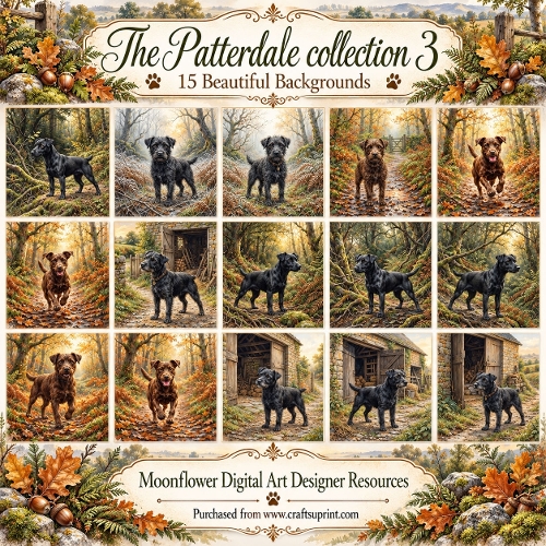 The Patterdale collection 3