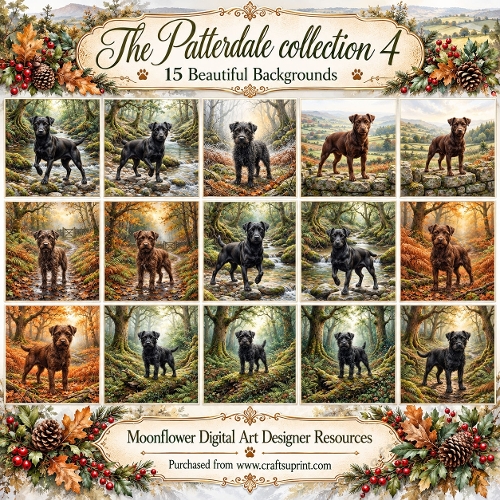 The Patterdale collection 4