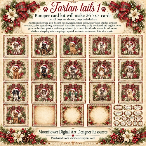 Tartan tails 1