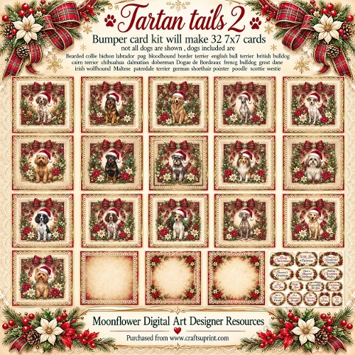 Tartan tails 2