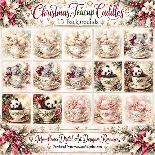 Christmas teacup cuddles 1