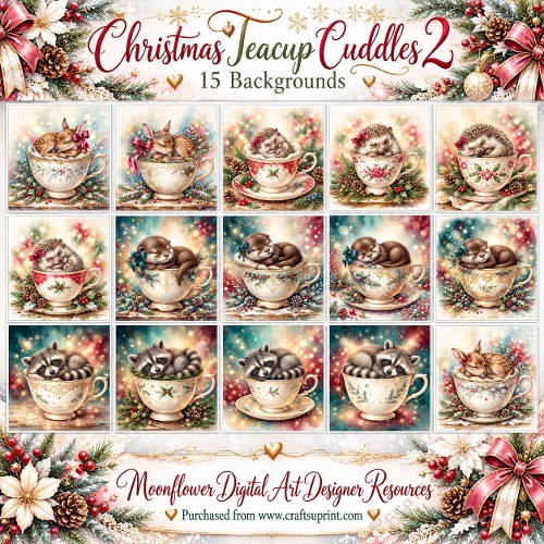 Christmas teacup cuddles 2