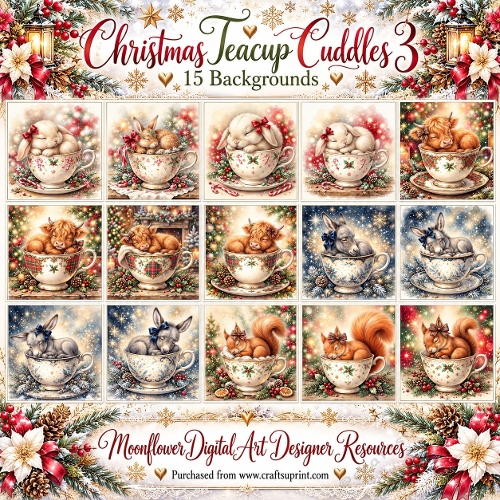 Christmas teacup cuddles 3