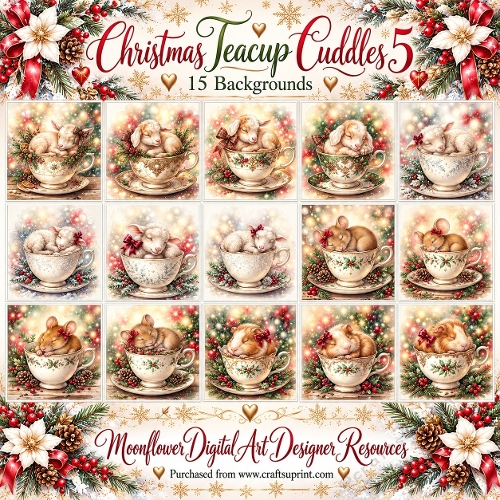 Christmas teacup cuddles 4