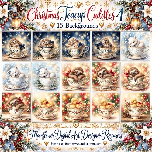 Christmas teacup cuddles 5