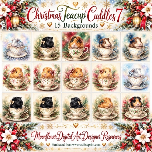 Guinea pig Christmas teacup cuddles 1
