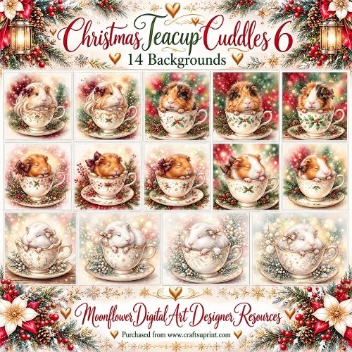 Guinea pig Christmas teacup cuddles 2