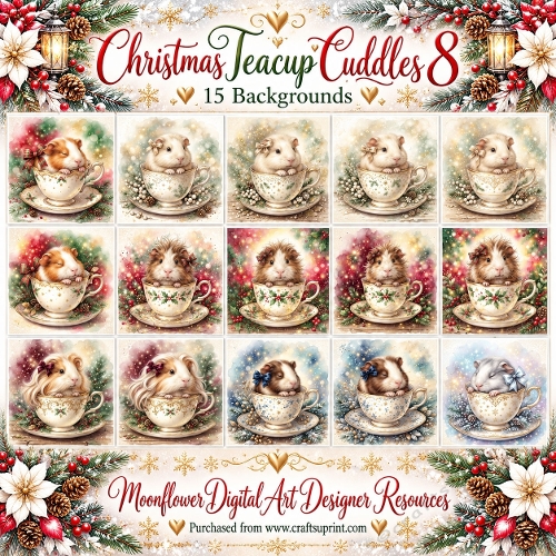 Guinea pig Christmas teacup cuddles 3
