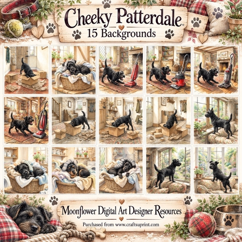 Cheeky Patterdale 1