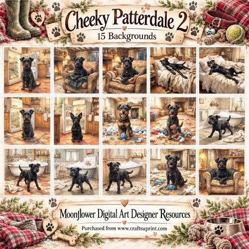 Cheeky Patterdale 2