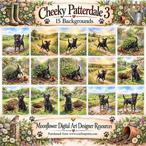Cheeky Patterdale 3