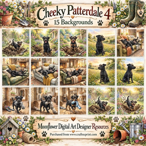 Cheeky Patterdale 4