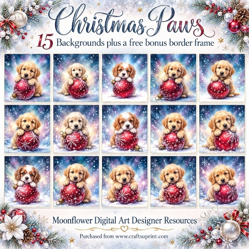Christmas paws