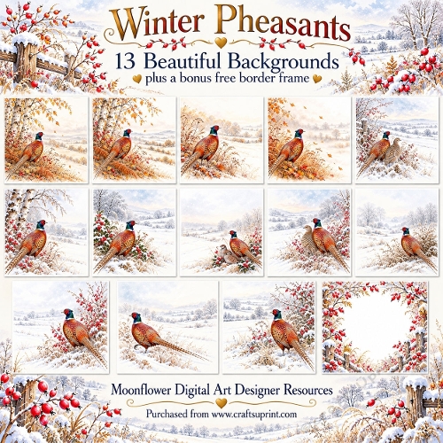 Winter Pheasants customer request 